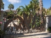 Artistic Custom Metal Entrance Gates